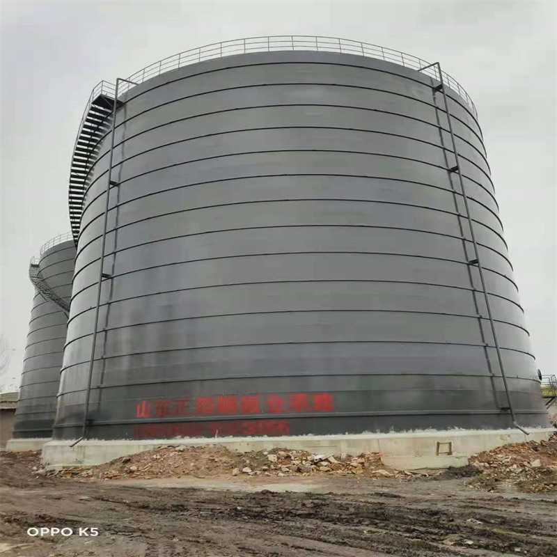 道孚3万吨大型钢板库