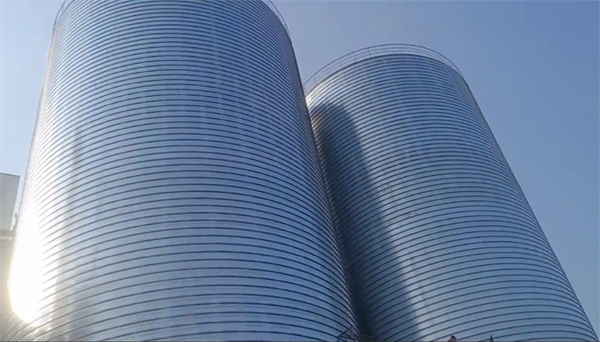 道孚2座混凝土高架卷板仓